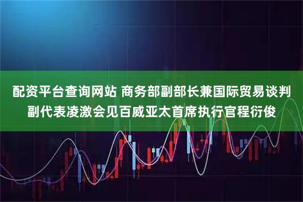 配资平台查询网站 商务部副部长兼国际贸易谈判副代表凌激会见百威亚太首席执行官程衍俊
