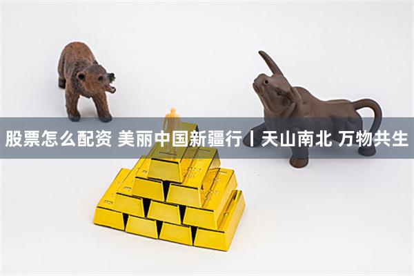 股票怎么配资 美丽中国新疆行丨天山南北 万物共生